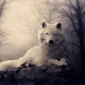 Meet your Posher, Casper